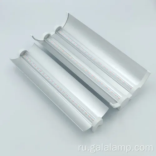 Залив залив для растения для роста в помещении